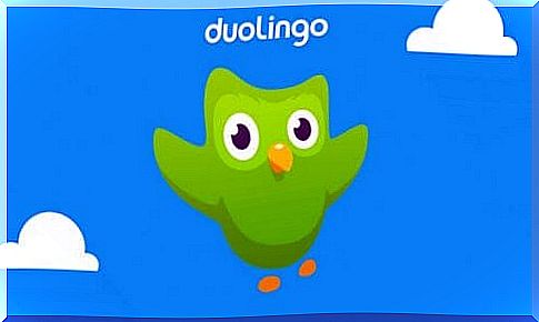 L'application Duolingo pour apprendre une langue étrangère