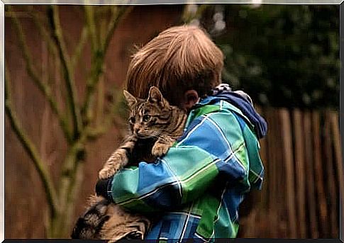 friendship between a child and his cat