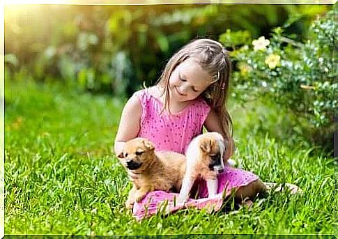 child playing with his pet dogs