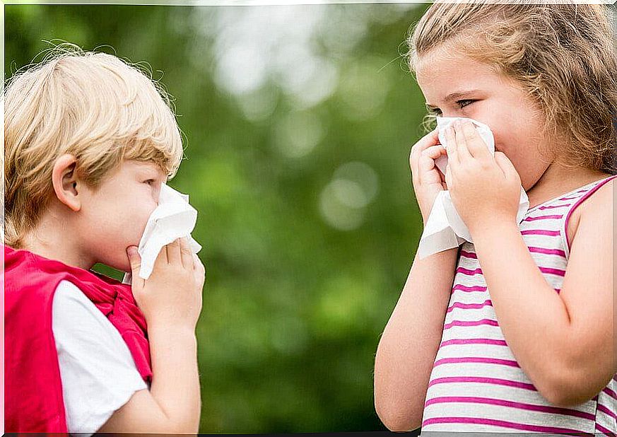 My child is allergic to dust: what to do?