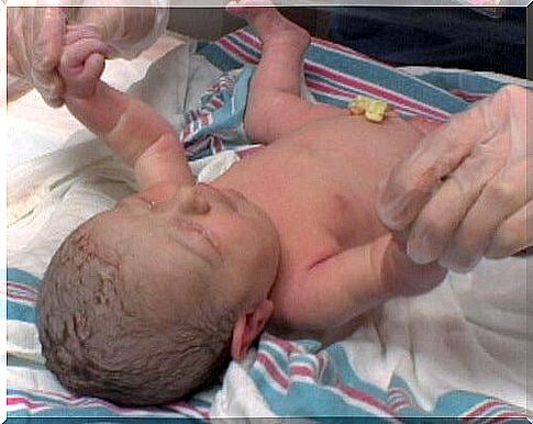 Newborn baby takes Apgar test after birth